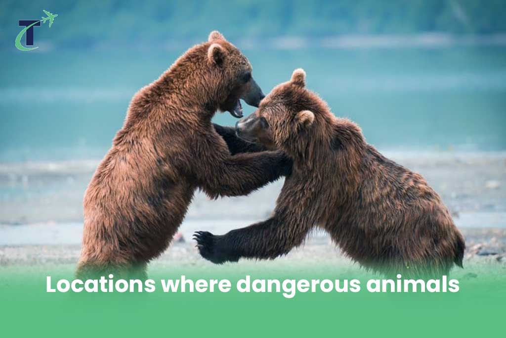 Locations where dangerous animals in Sweden are living