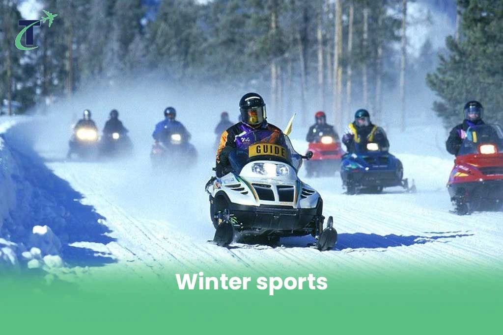 Winter sports in sweden