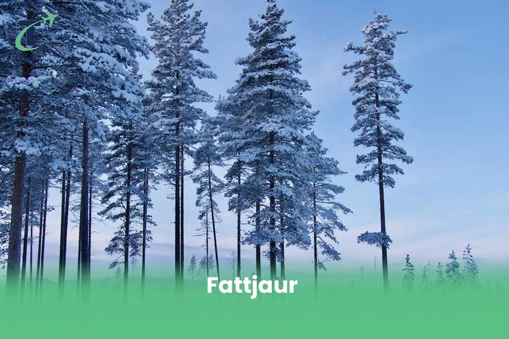 Fattjaur coldest place in Sweden