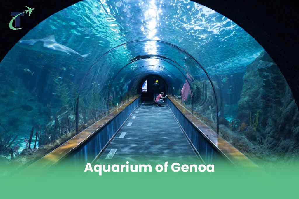  Aquarium of Genoa in Liguria