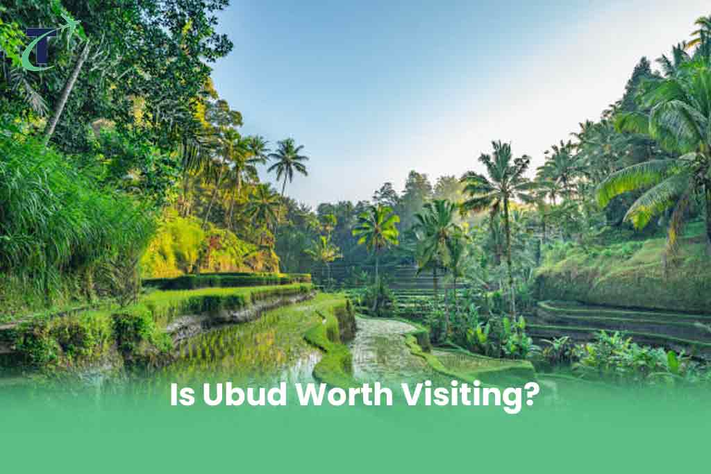 Is Ubud Worth Visiting?